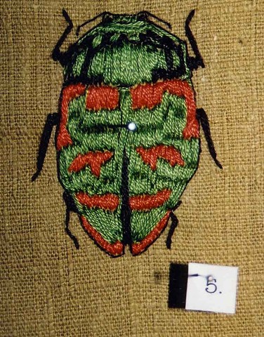 Beetle (detail)