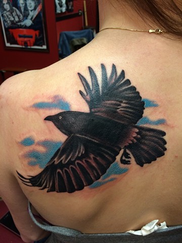 Crow in flight !