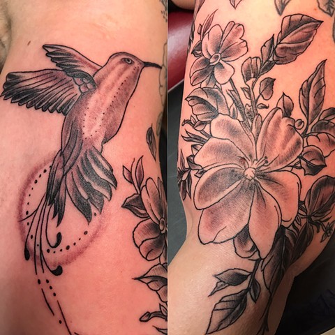 Hummingbird & flowers