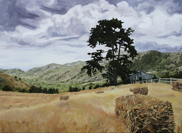 california, coast, country, farm, fields, landscape, tree