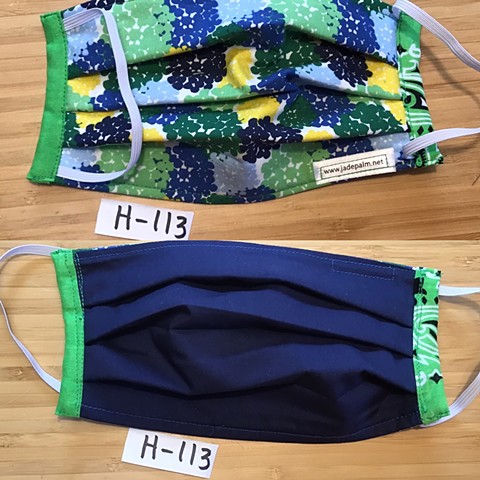H-113