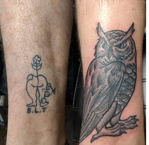 owl cover up