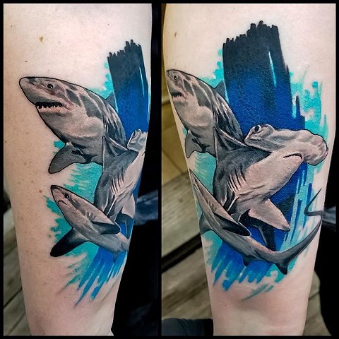 Shark tattoo by Chris Lowe at naked art tattoos in Odenton Maryland 