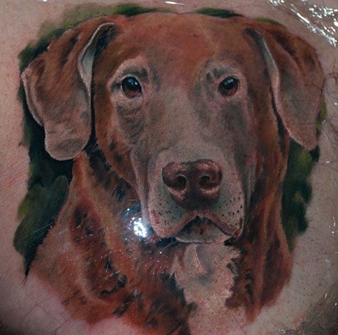 dog portrait tattoo by chris lowe at naked art tattoos