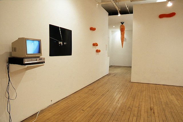 Jennifer McMackon, untitled photograph and video, Pseudonyms and Similarities, Group Show Curated by Natalie Olanick at Mercer Union, Toronto, 1997