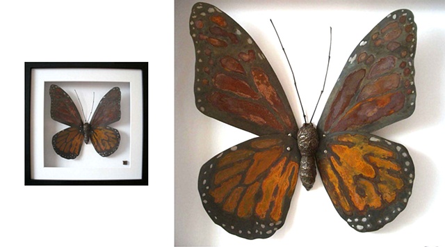 Pinusconus Monarch butterfly