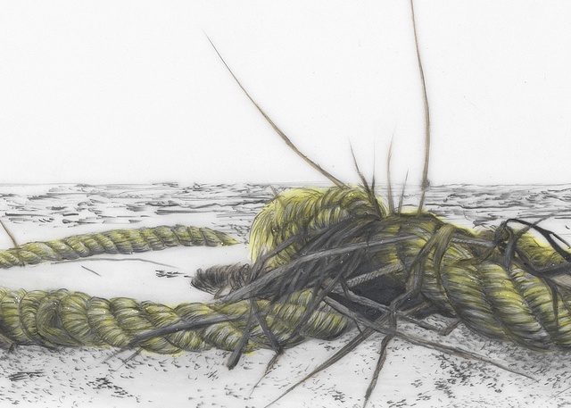 Detail from:
Yellow Rope with Seaweed