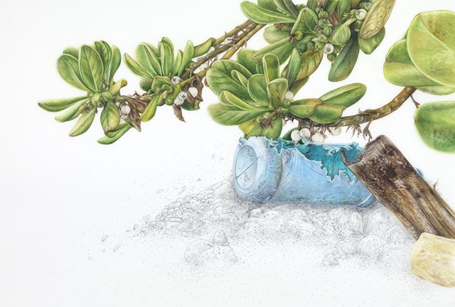 Tropical Almond Tree with Bottle