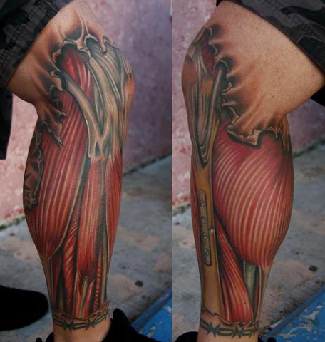 Tattoo of exposed muscle and bones on leg . We tried to keep it anatomically correct as possible.
