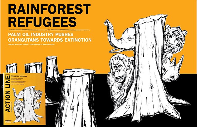 Rainforest Refugees 