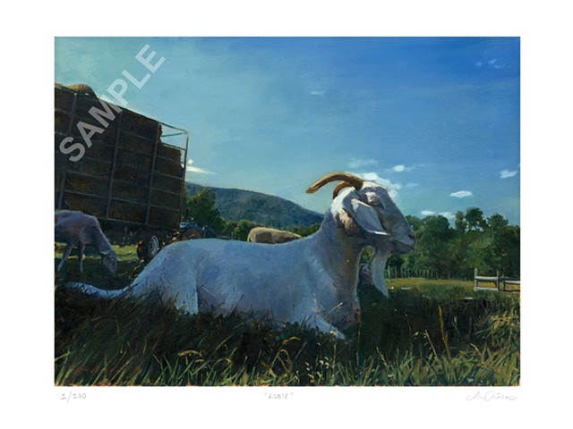 Marcus Pierno Limited Edition Prints, Woodstock Farm Animal Sanctuary