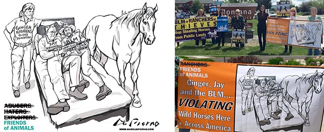 Friends of Animals Protest the BLM