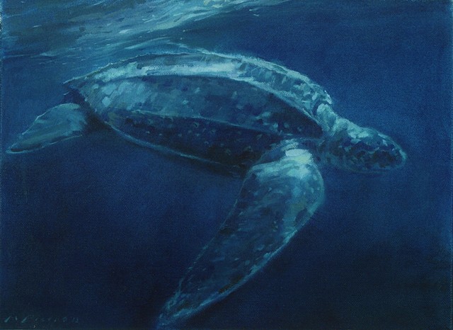 Leatherback Freedom