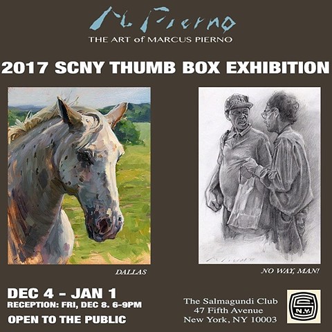 2017 SCNY Thumb Box Exhibition
