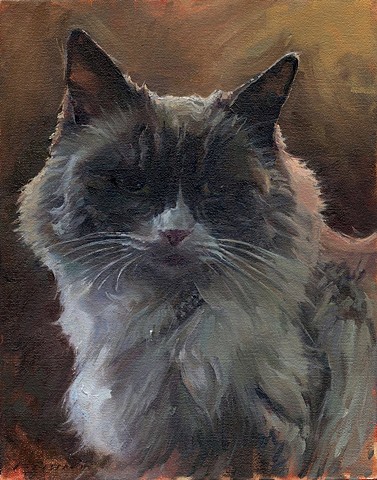 Matilda The Algonquin Cat Official Portrait 
