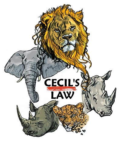 Cecil's Law Poster