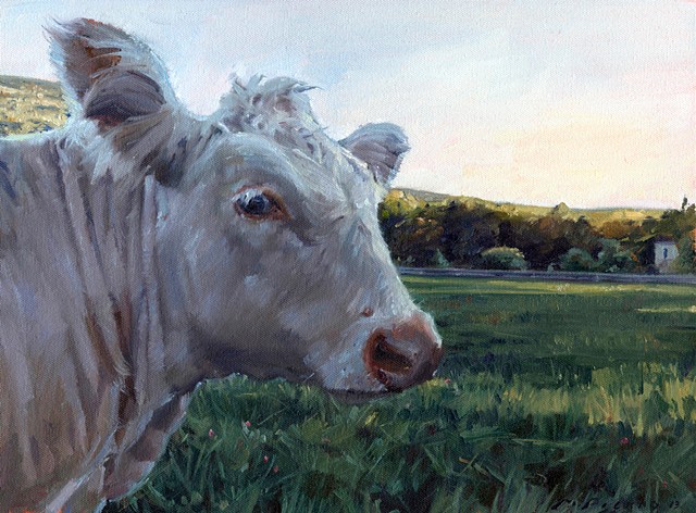 Marcus Pierno Sanctuary Animals Series Kayli the Cow