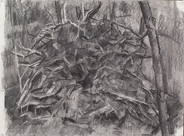 Tree Stump / Cathedral Charcoal on Paper 18 x 24 2015
