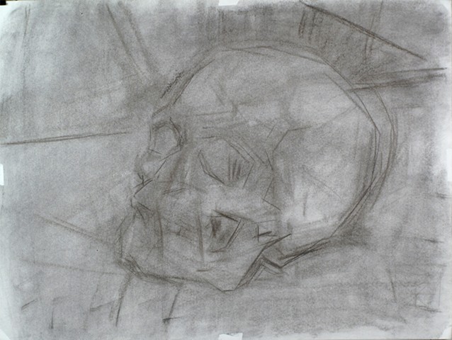Demonstration Skull Charcoal on Paper 18 x 24 2016