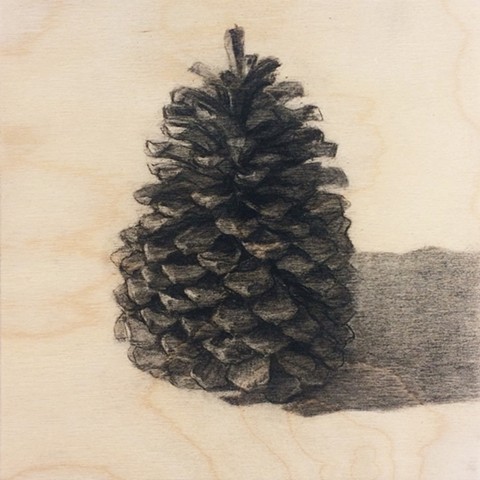 Pinecone From Mammoth 