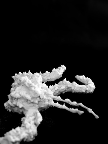 Rena Leinberger photo of Challenger explosion in cake frosting
