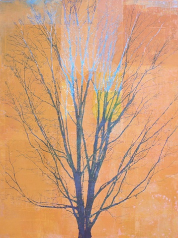mixed media and oil painting photo transfer trees by North Carolina American painter Richard Garrison