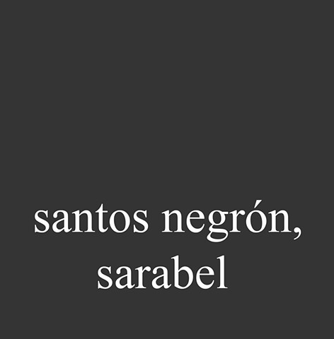 Santos Negrón, Sarabel
