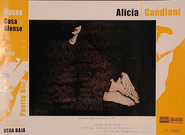Candiani, Alicia. 262