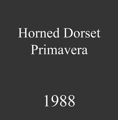 Horned Dorset Primavera. 1988