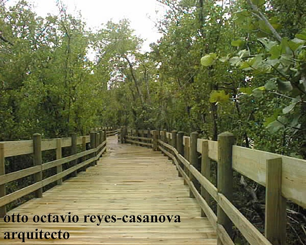 Paseo de Piñones, 2000