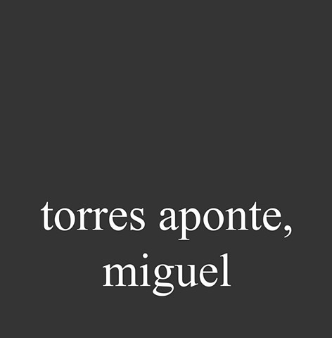 Torres Aponte, Miguel Ángel