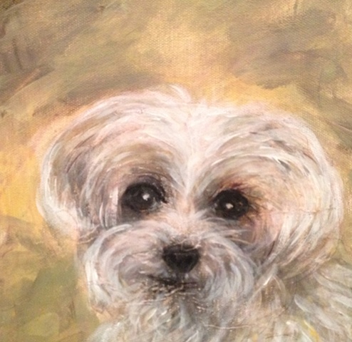This Precious Petites work of art depicts Luna, a maltipoo dog. Order a custom portrait for your pet today!