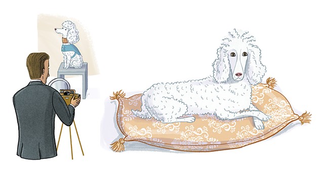 Basket the poodle, Gertrude Stein, Violet Lemay, Artists and Their Pets, kidlit artist, middlegrade artist, children's book illustrator, picture book illustrator