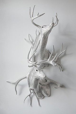 Untitled (double bucks with antlers)