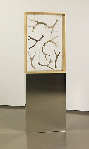 Installation antler box by Marc Swanson The Tenth of Always Richard Gray Gallery Chicago
