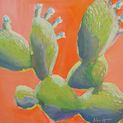 Moab Cacti