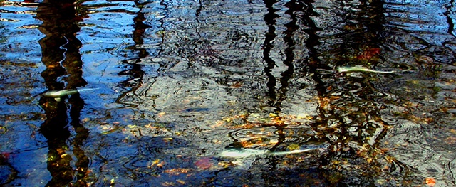 River Reflections Series