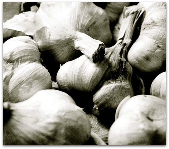 Hulya Kilicaslan photograph of garlic by Hulya Kilicaslan Amsterdam