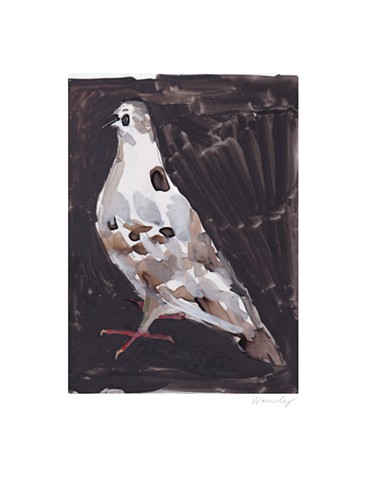 pigeon print