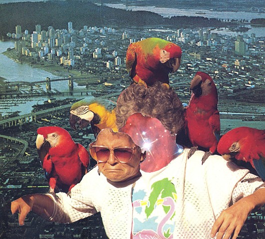 Parrots and Nirvana