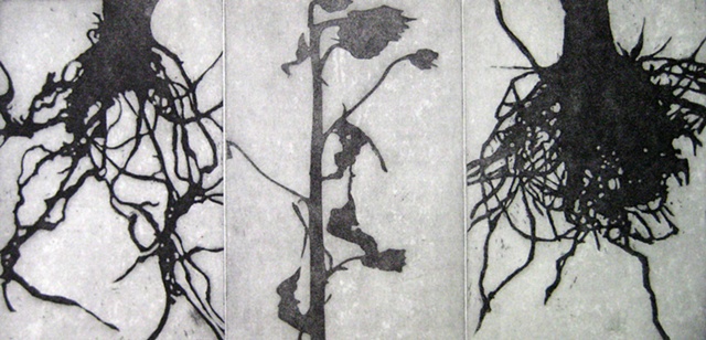 etching plant forms