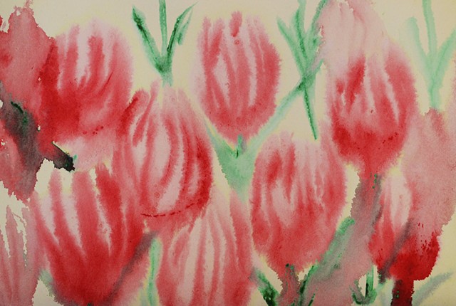 tulips, flowers, watercolour, aquarel