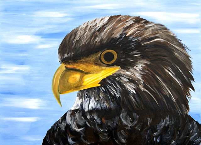 Portrait of a Golden Eagle, Aquila chrysaetos