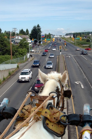 Horse on Highway
