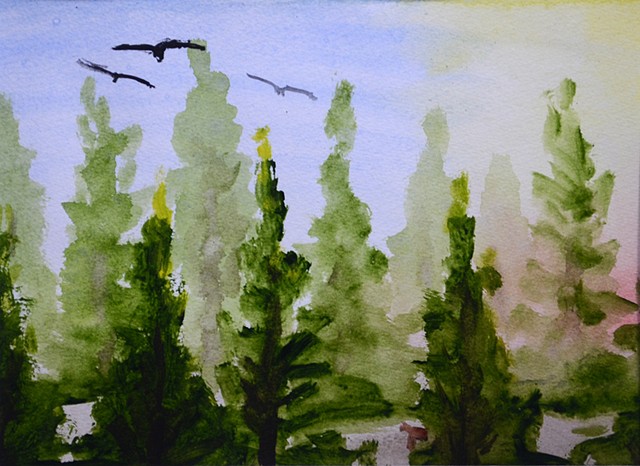 nature, forest, birds, vultures, trees