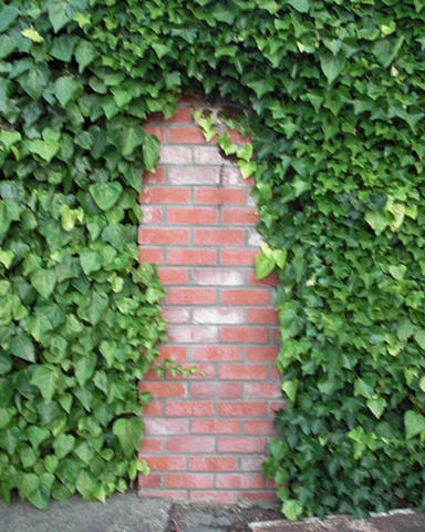 Ivy with Brick