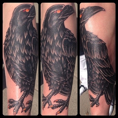Big Forearm Raven