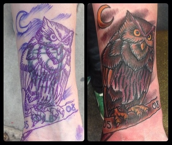 Owl Cover-up