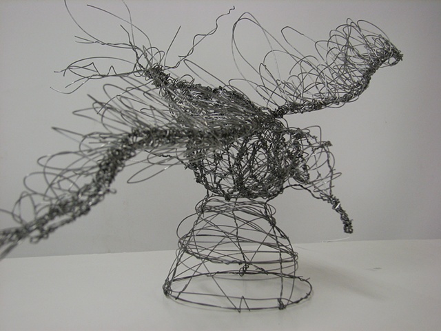 3-D Design, Wire Project