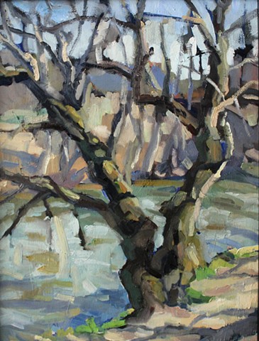 French Broad River Tree, 11x14, oil on canvas, sold